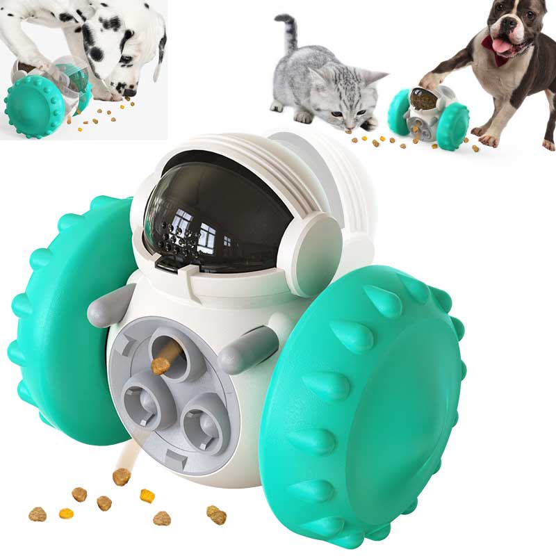 Cat And Dog Slow Food Car