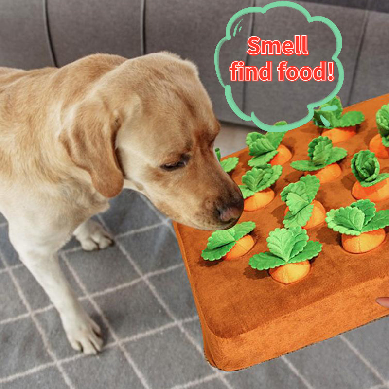 Carrot Chew Toy For Dogs Snuffle Mat